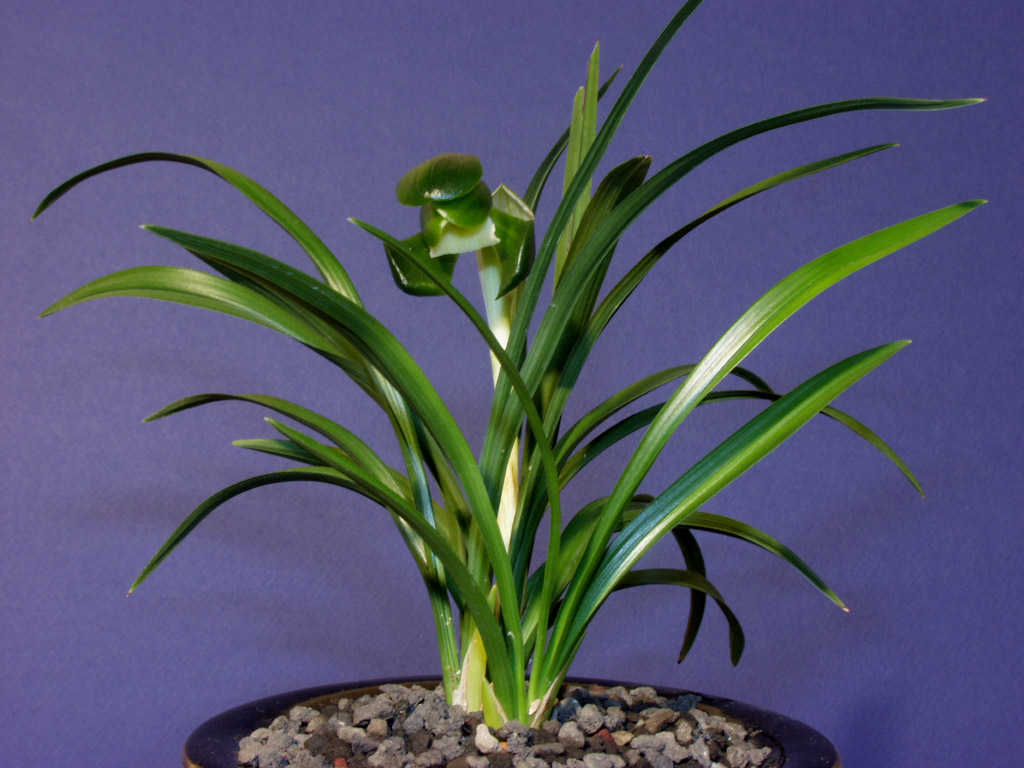 ������ ū������ �� �� �ֽ��ϴ�.