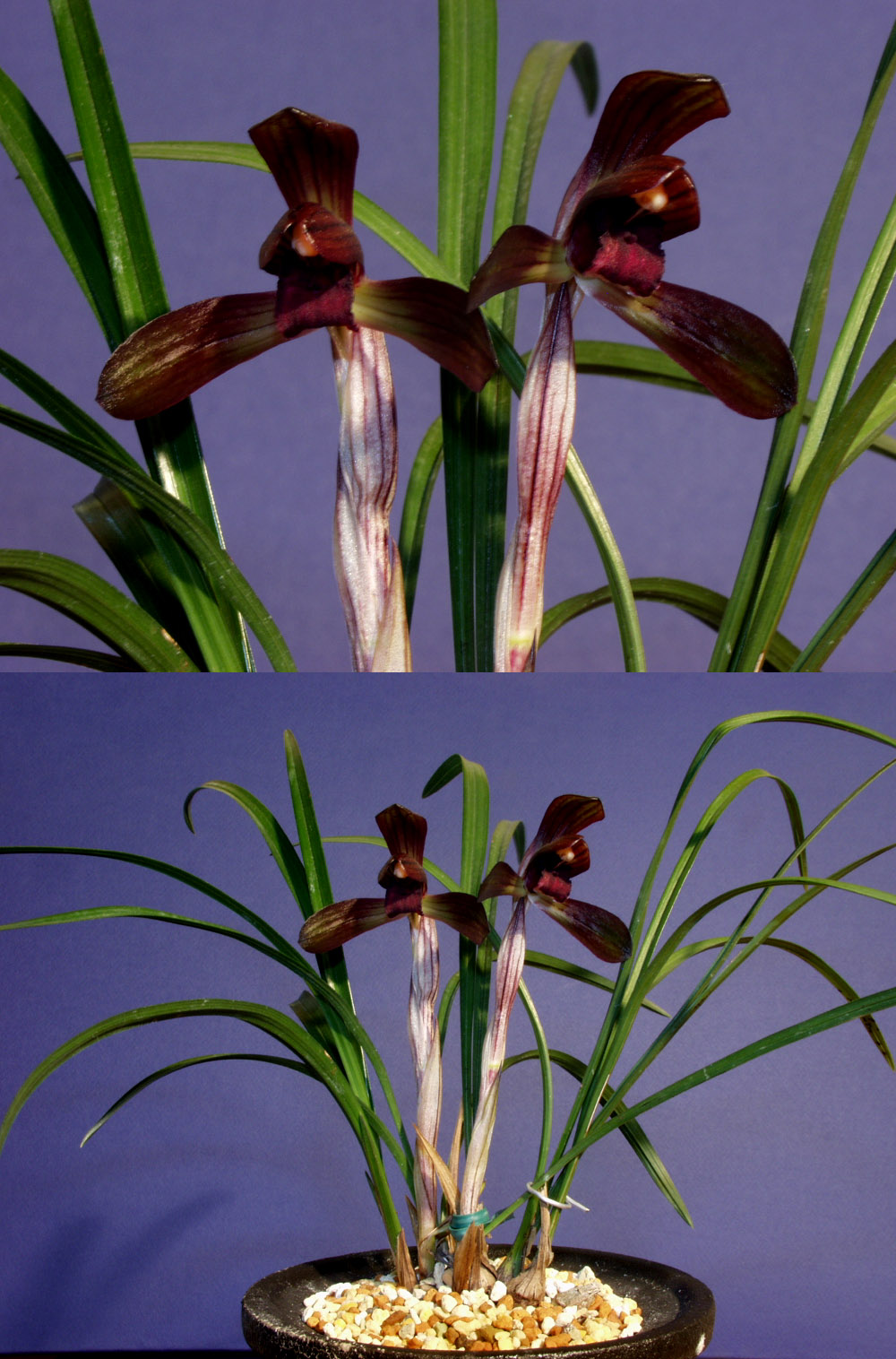 ������ ū������ �� �� �ֽ��ϴ�.