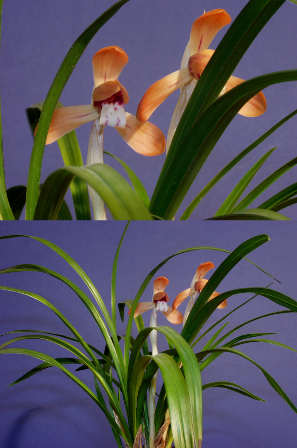 ������ ū������ �� �� �ֽ��ϴ�.