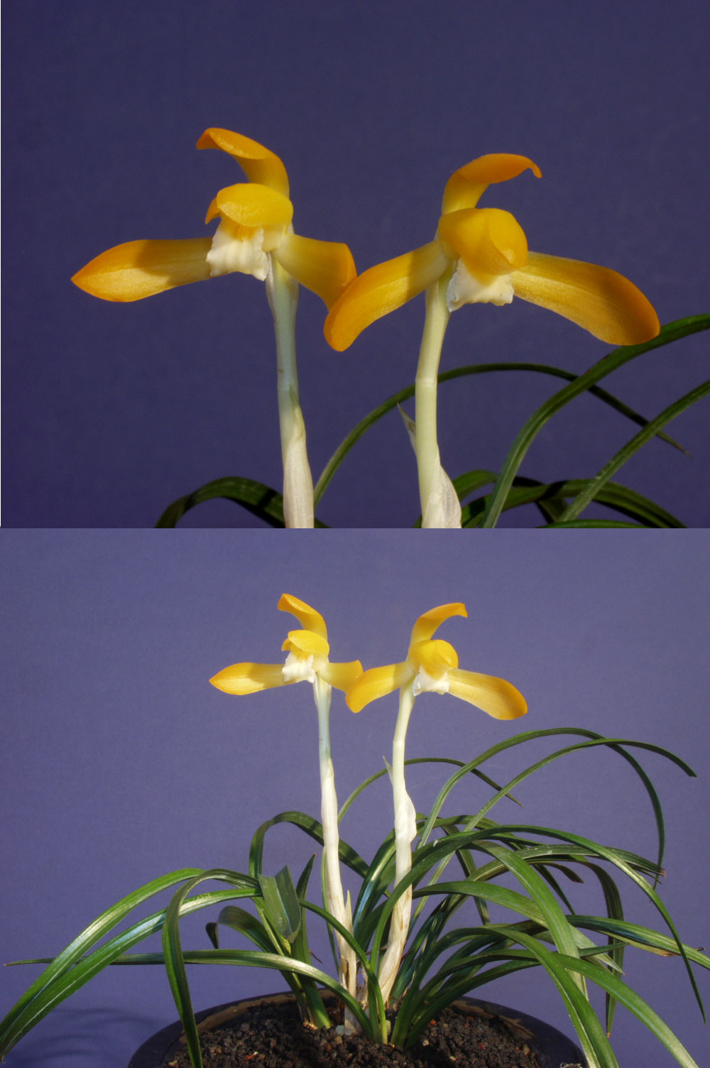 ������ ū������ �� �� �ֽ��ϴ�.