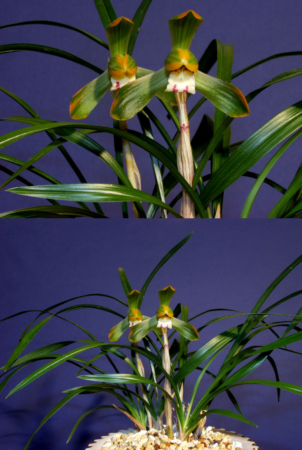 ������ ū������ �� �� �ֽ��ϴ�.