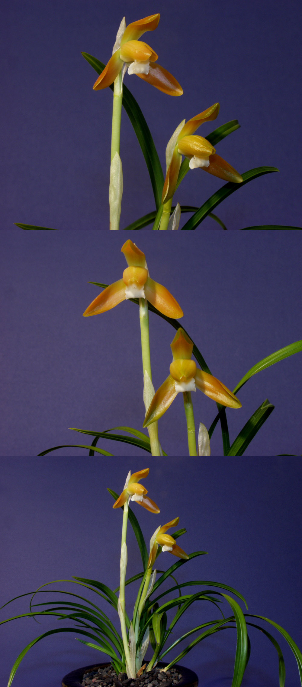 ������ ū������ �� �� �ֽ��ϴ�.