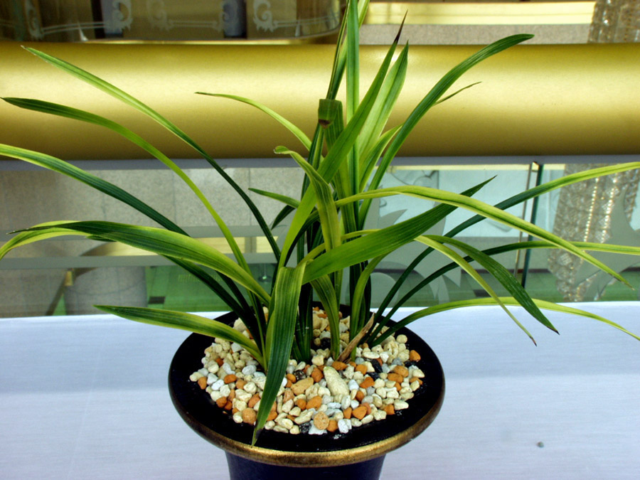 ������ ū������ �� �� �ֽ��ϴ�.