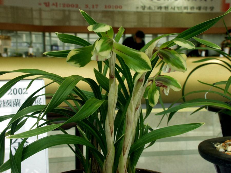 ������ ū������ �� �� �ֽ��ϴ�.