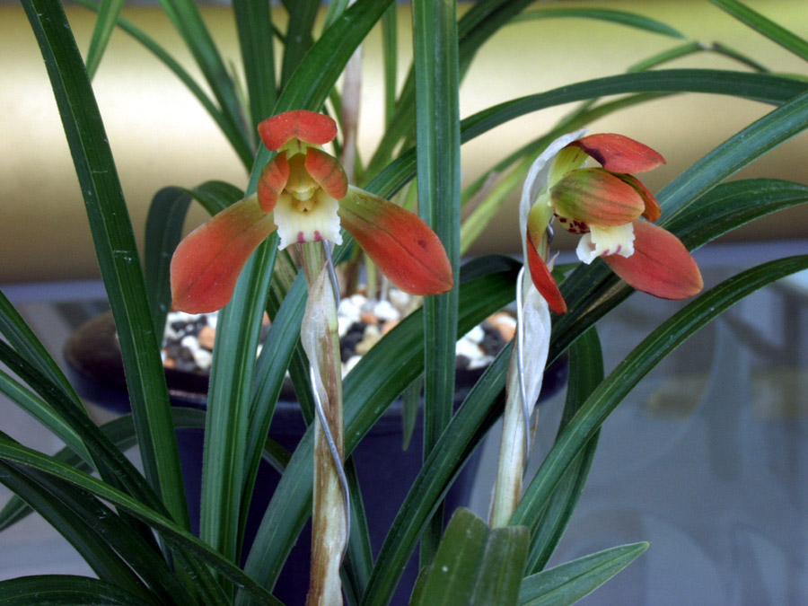 ������ ū������ �� �� �ֽ��ϴ�.