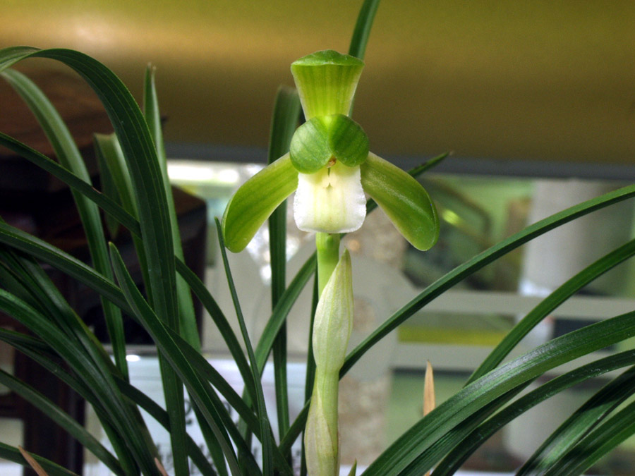 ������ ū������ �� �� �ֽ��ϴ�.