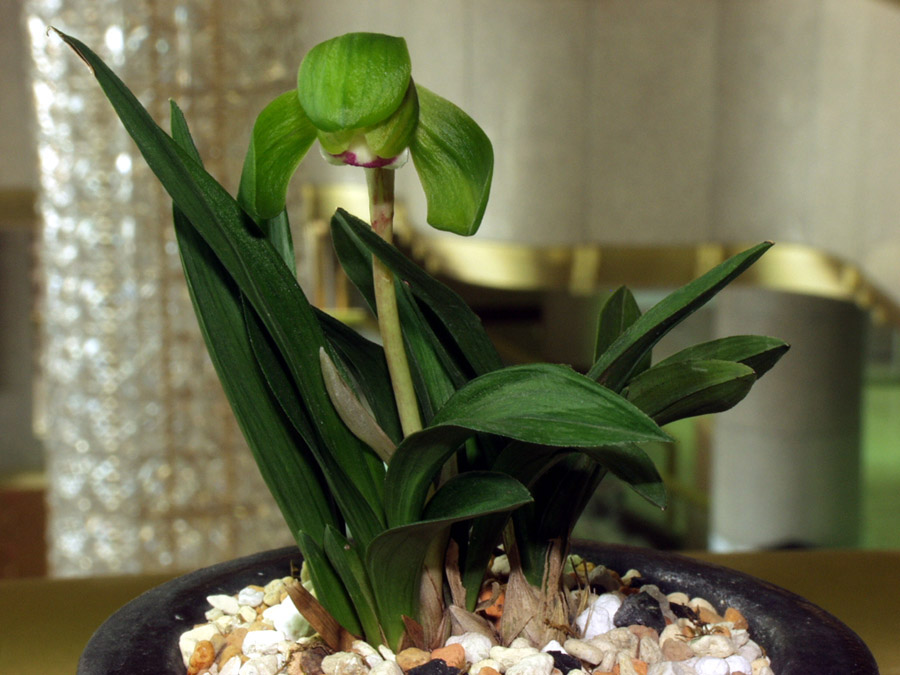 ������ ū������ �� �� �ֽ��ϴ�.