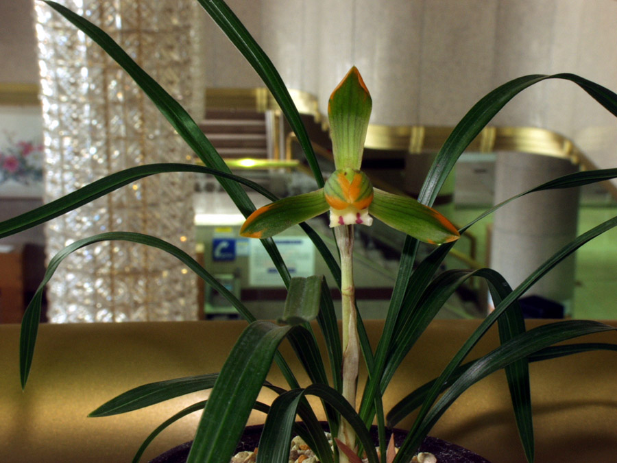 ������ ū������ �� �� �ֽ��ϴ�.