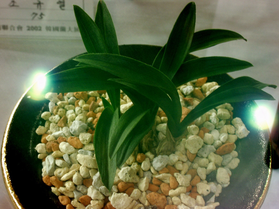 ������ ū������ �� �� �ֽ��ϴ�.