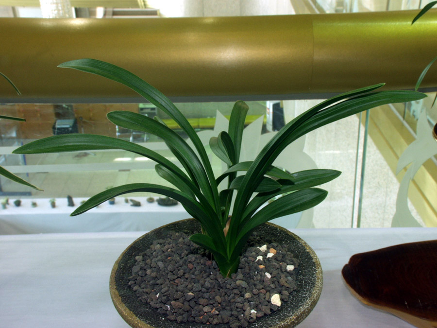 ������ ū������ �� �� �ֽ��ϴ�.