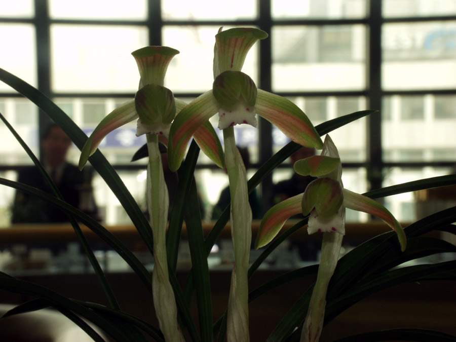 ������ ū������ �� �� �ֽ��ϴ�.