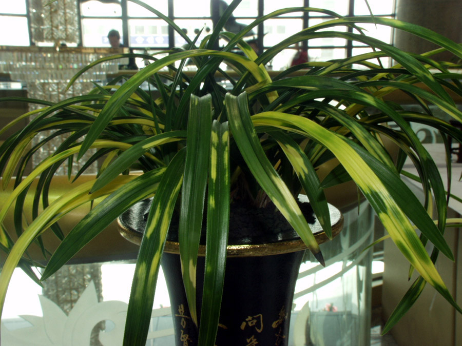 ������ ū������ �� �� �ֽ��ϴ�.