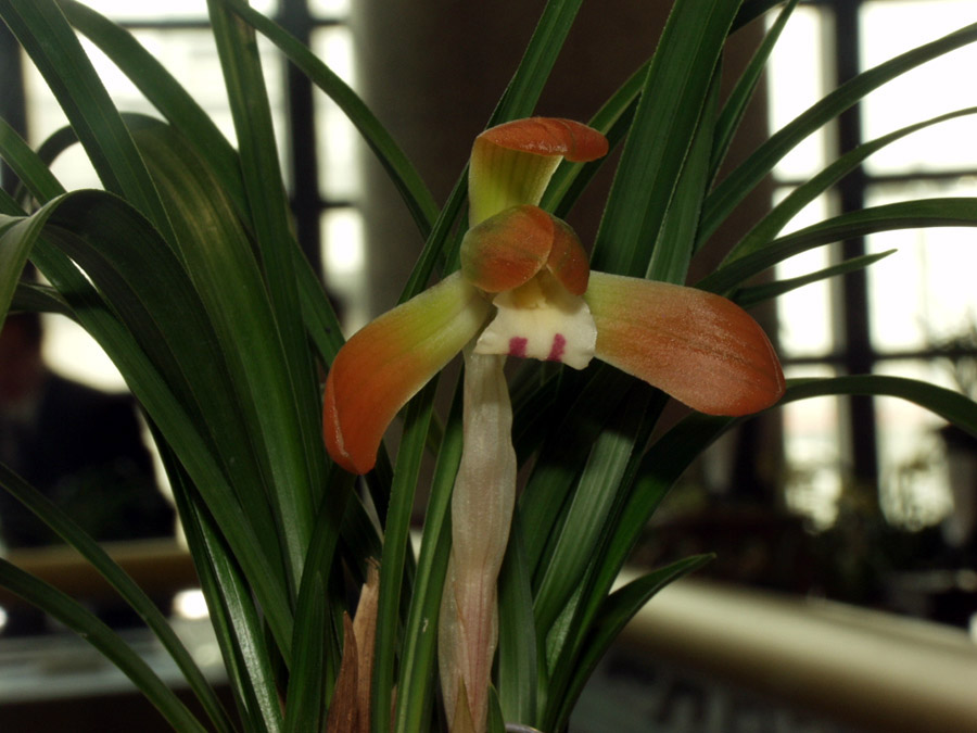 ������ ū������ �� �� �ֽ��ϴ�.