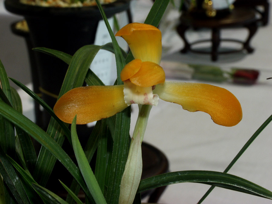 ������ ū������ �� �� �ֽ��ϴ�.