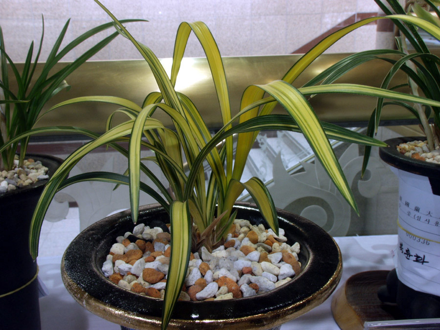 ������ ū������ �� �� �ֽ��ϴ�.