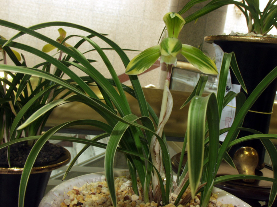 ������ ū������ �� �� �ֽ��ϴ�.