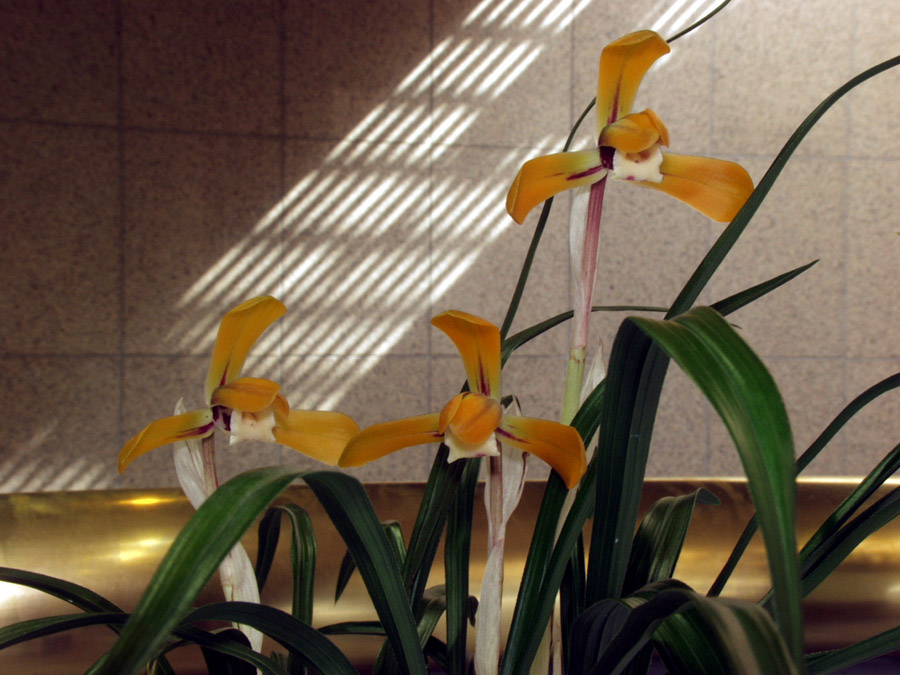 ������ ū������ �� �� �ֽ��ϴ�.