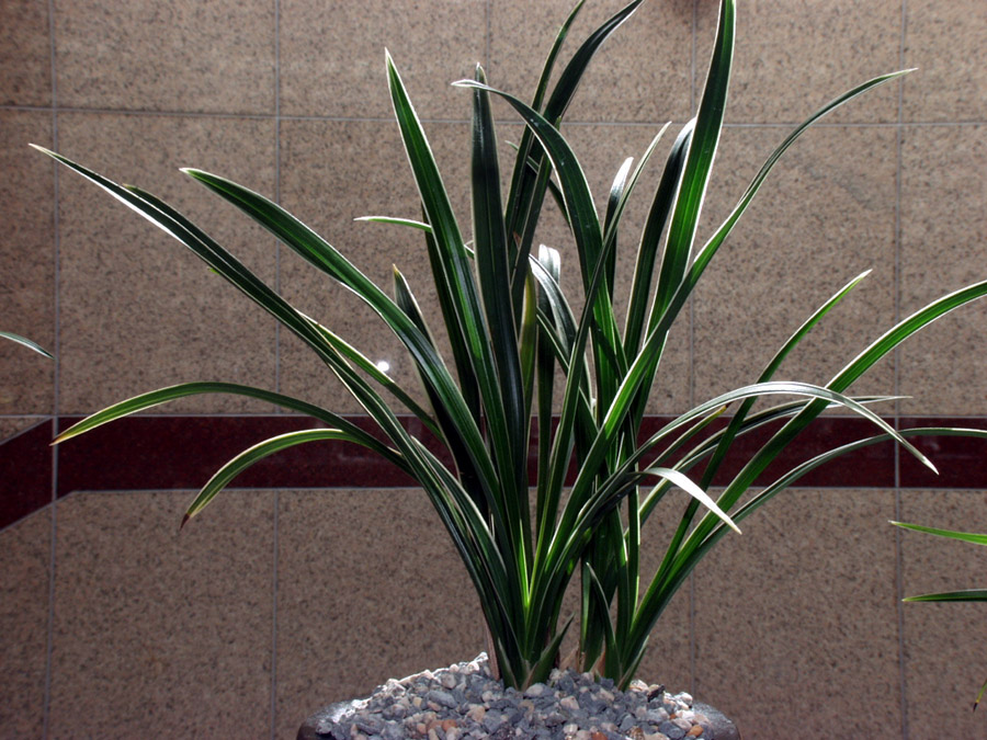 ������ ū������ �� �� �ֽ��ϴ�.