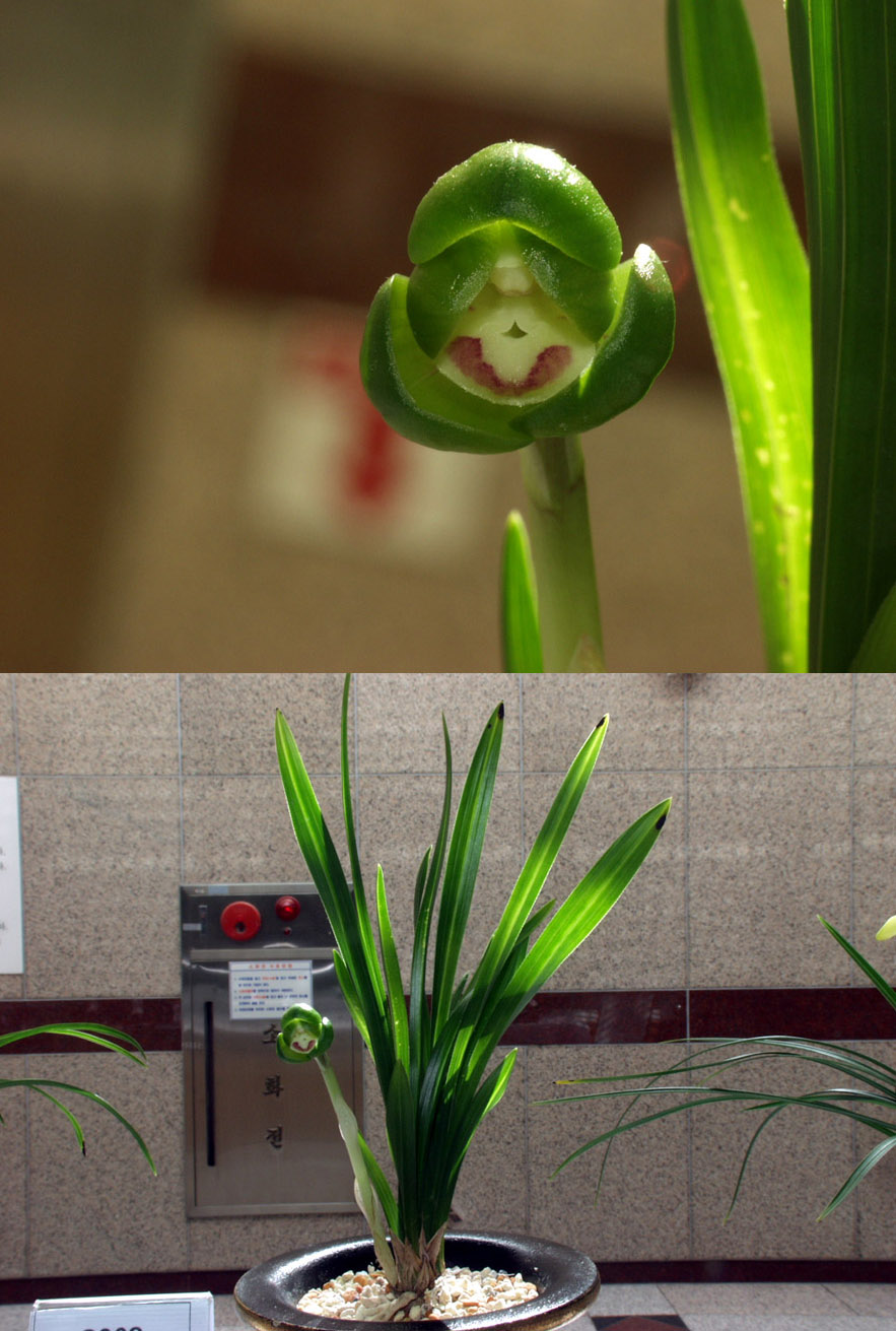 ������ ū������ �� �� �ֽ��ϴ�.