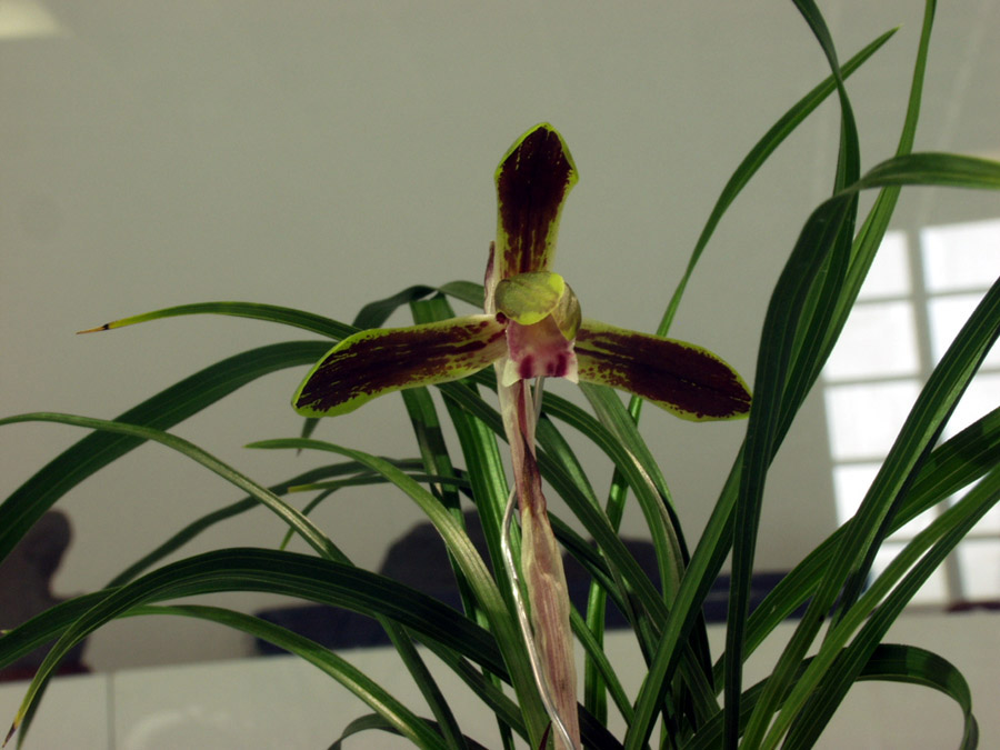 ������ ū������ �� �� �ֽ��ϴ�.