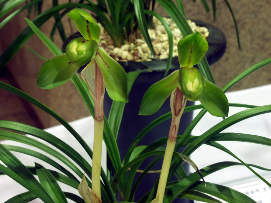 ������ ū������ �� �� �ֽ��ϴ�.