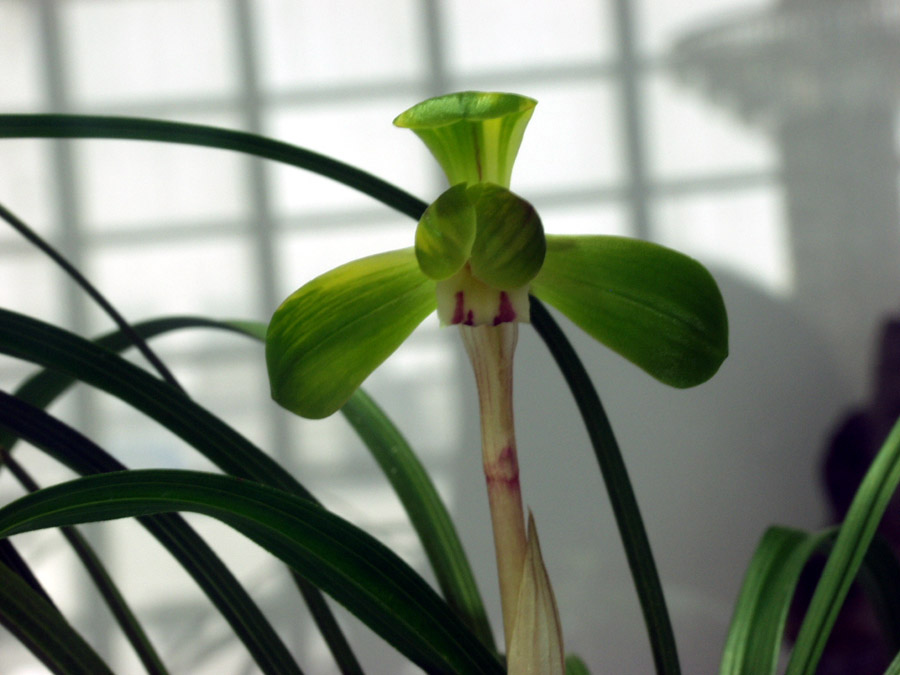 ������ ū������ �� �� �ֽ��ϴ�.