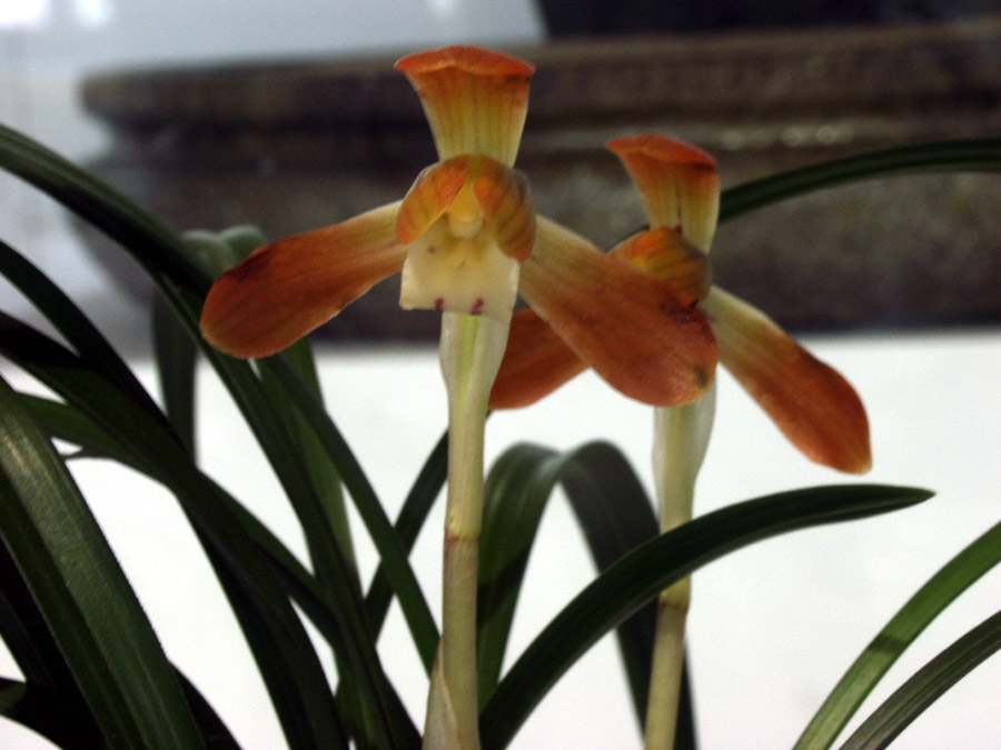 ������ ū������ �� �� �ֽ��ϴ�.