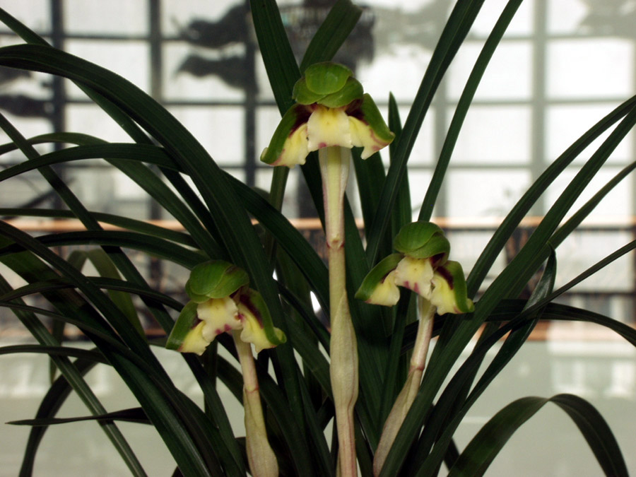 ������ ū������ �� �� �ֽ��ϴ�.