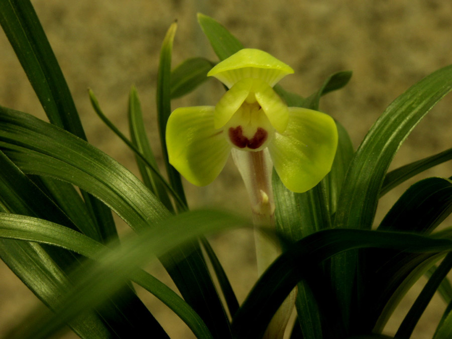 ������ ū������ �� �� �ֽ��ϴ�.