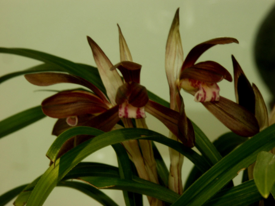 ������ ū������ �� �� �ֽ��ϴ�.