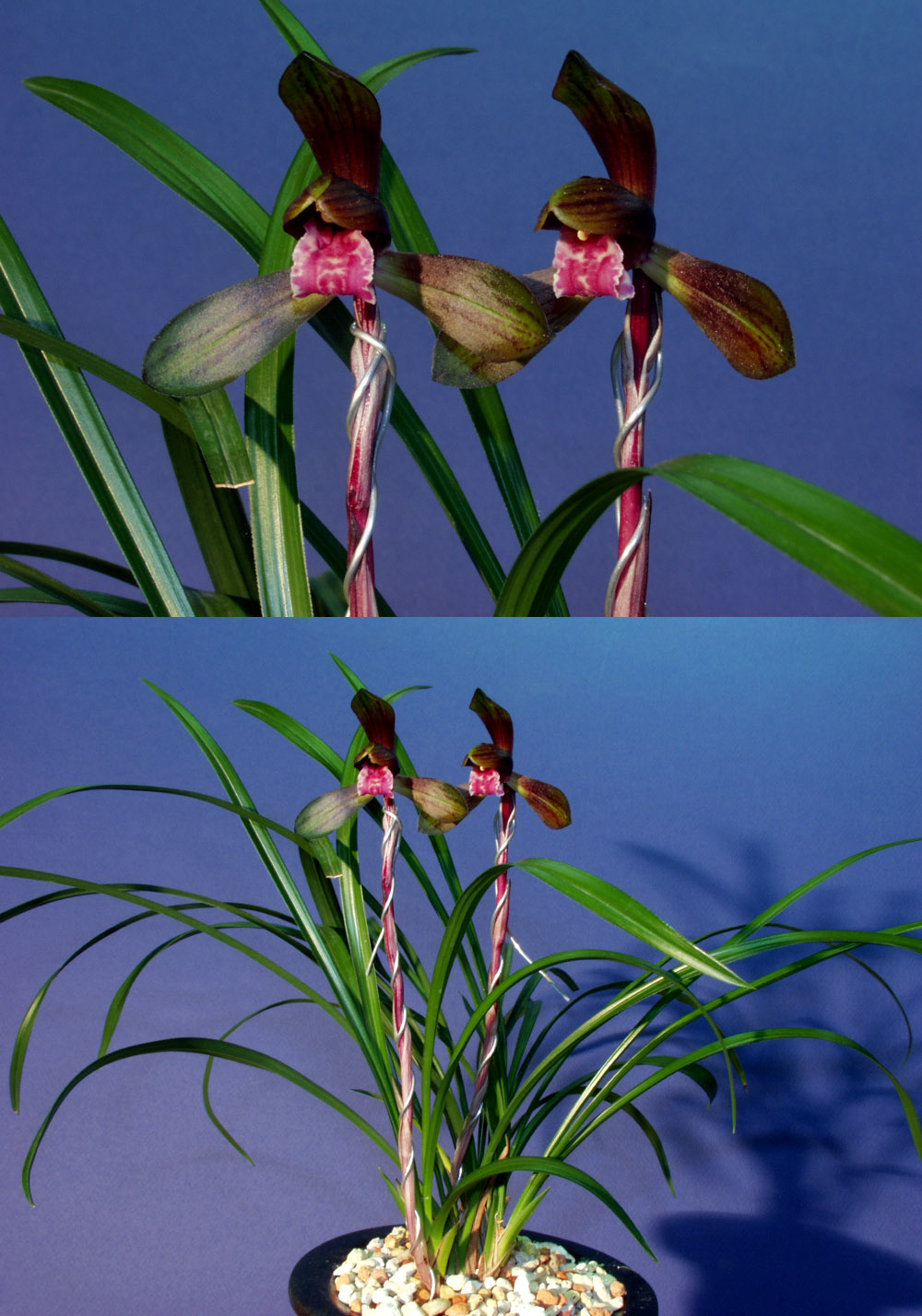 ������ ū������ �� �� �ֽ��ϴ�.