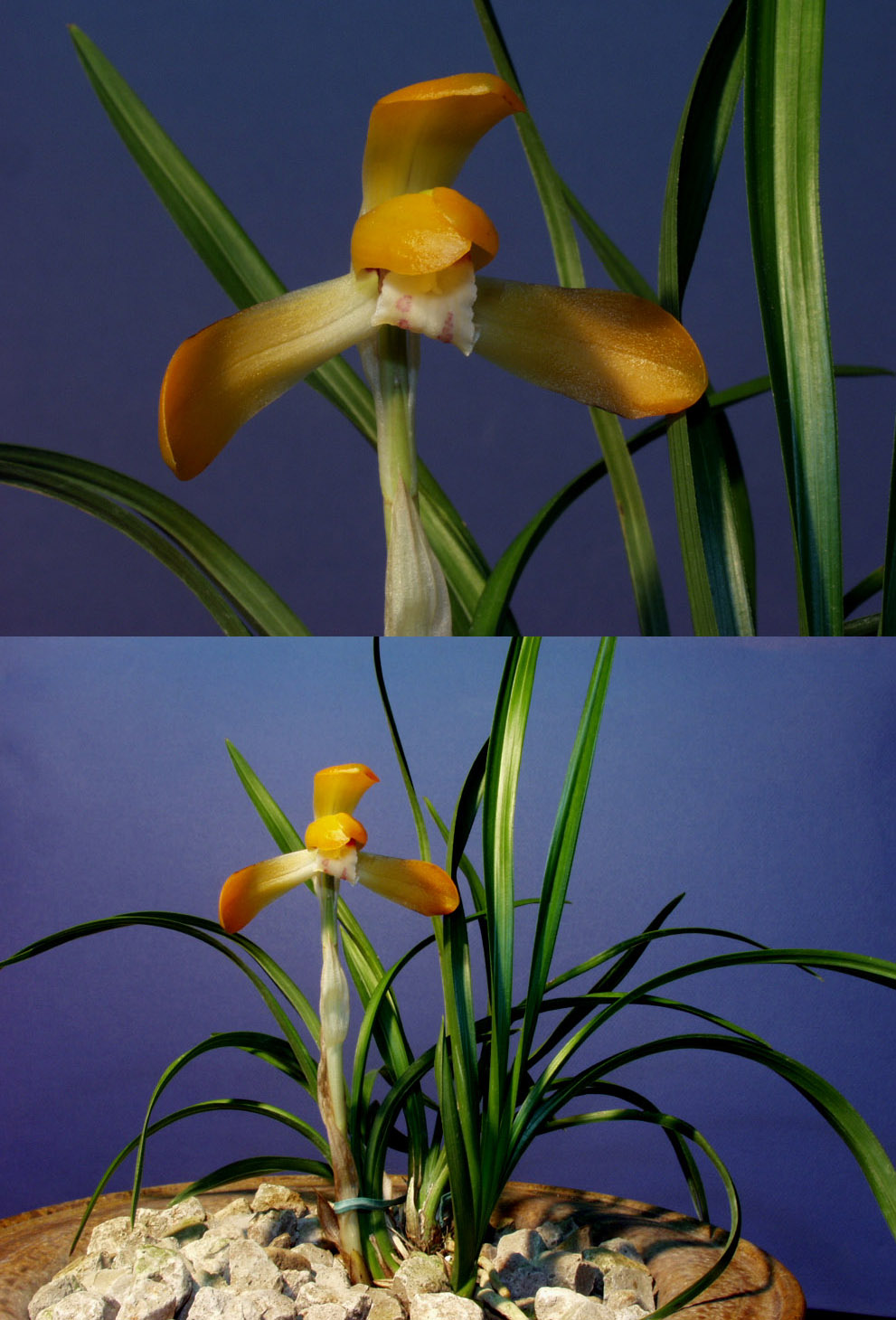 ������ ū������ �� �� �ֽ��ϴ�.