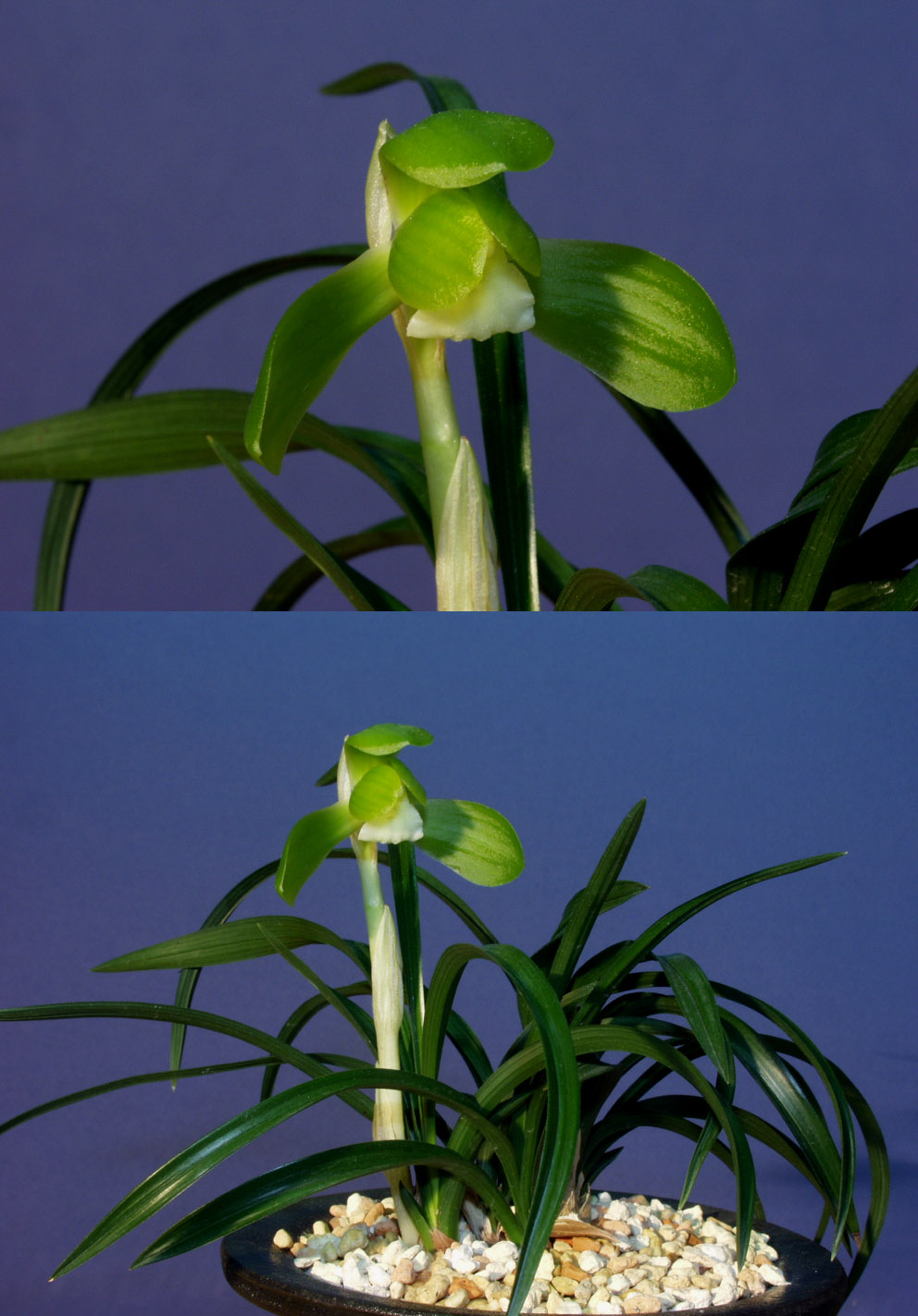 ������ ū������ �� �� �ֽ��ϴ�.