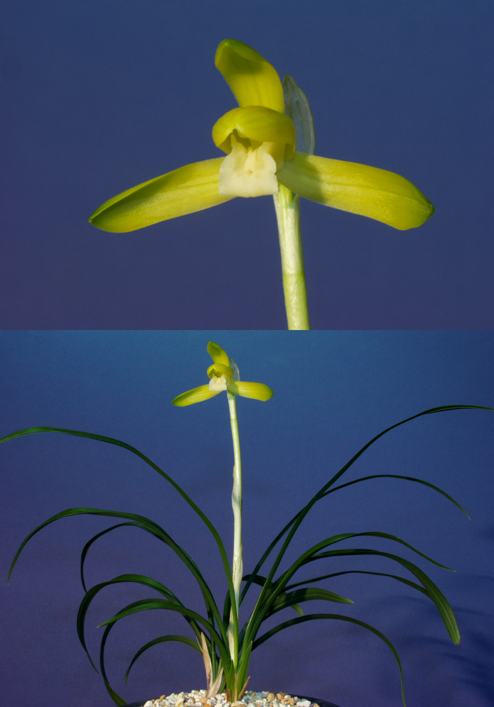 ������ ū������ �� �� �ֽ��ϴ�.