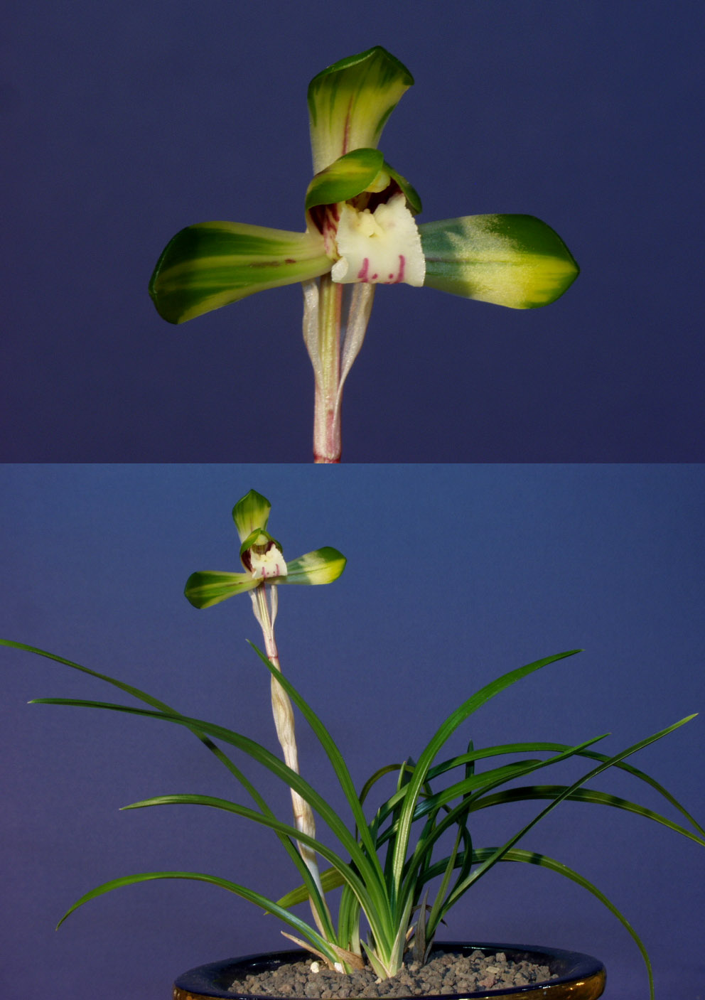 ������ ū������ �� �� �ֽ��ϴ�.