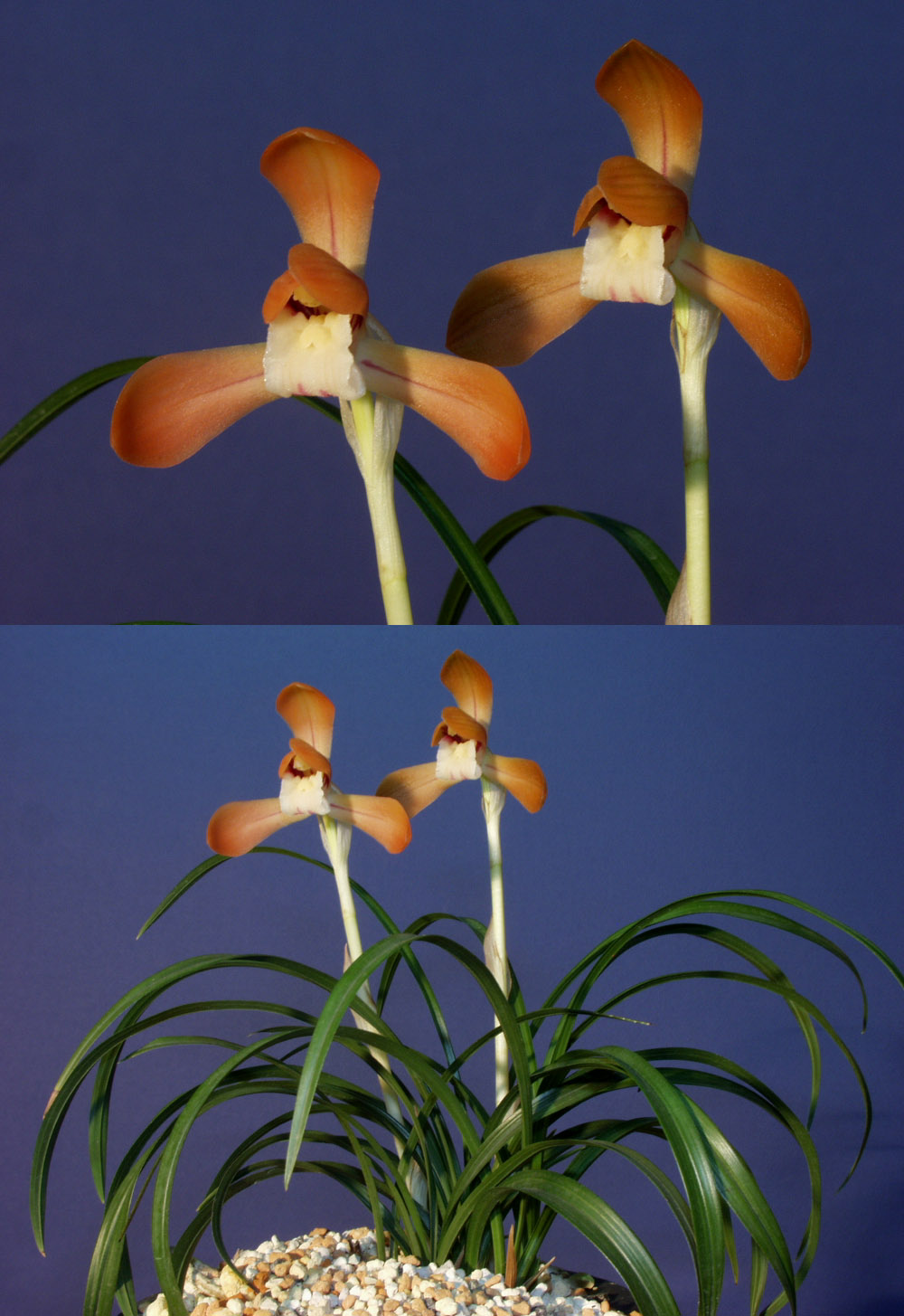 ������ ū������ �� �� �ֽ��ϴ�.