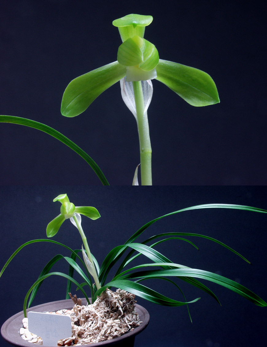 ������ ū������ �� �� �ֽ��ϴ�.