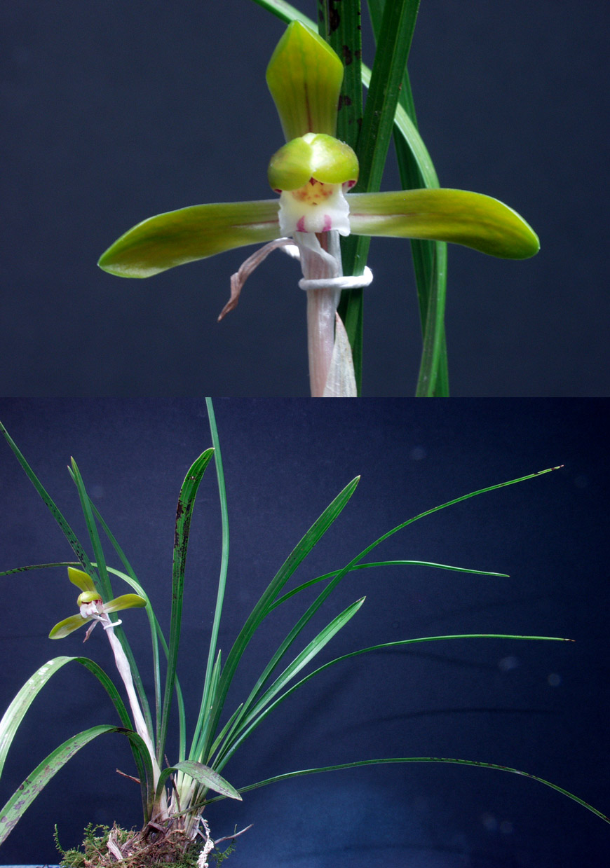 ������ ū������ �� �� �ֽ��ϴ�.