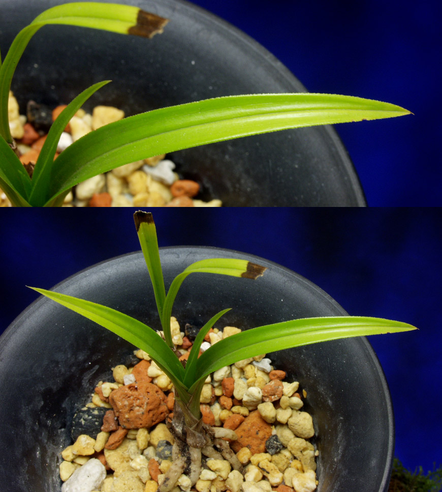 ������ ū������ �� �� �ֽ��ϴ�.