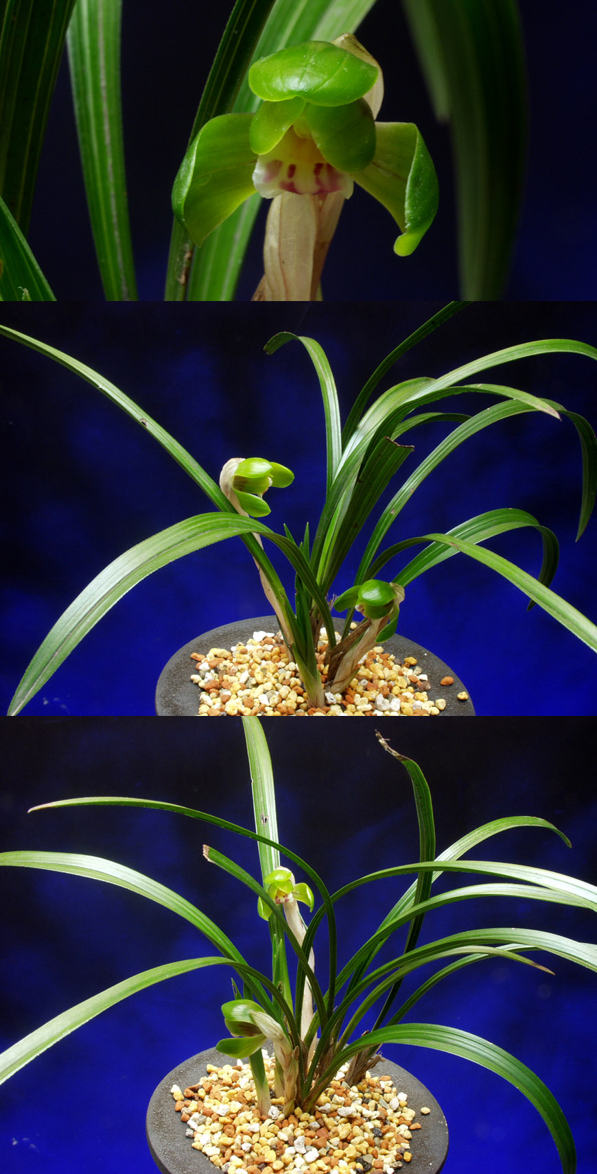 ������ ū������ �� �� �ֽ��ϴ�.