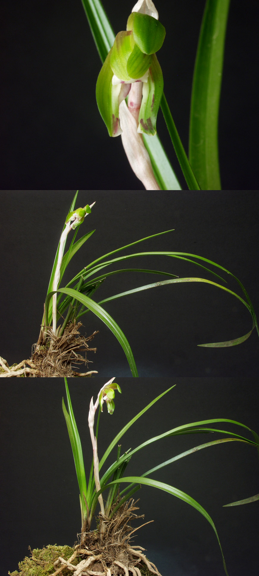 ������ ū������ �� �� �ֽ��ϴ�.