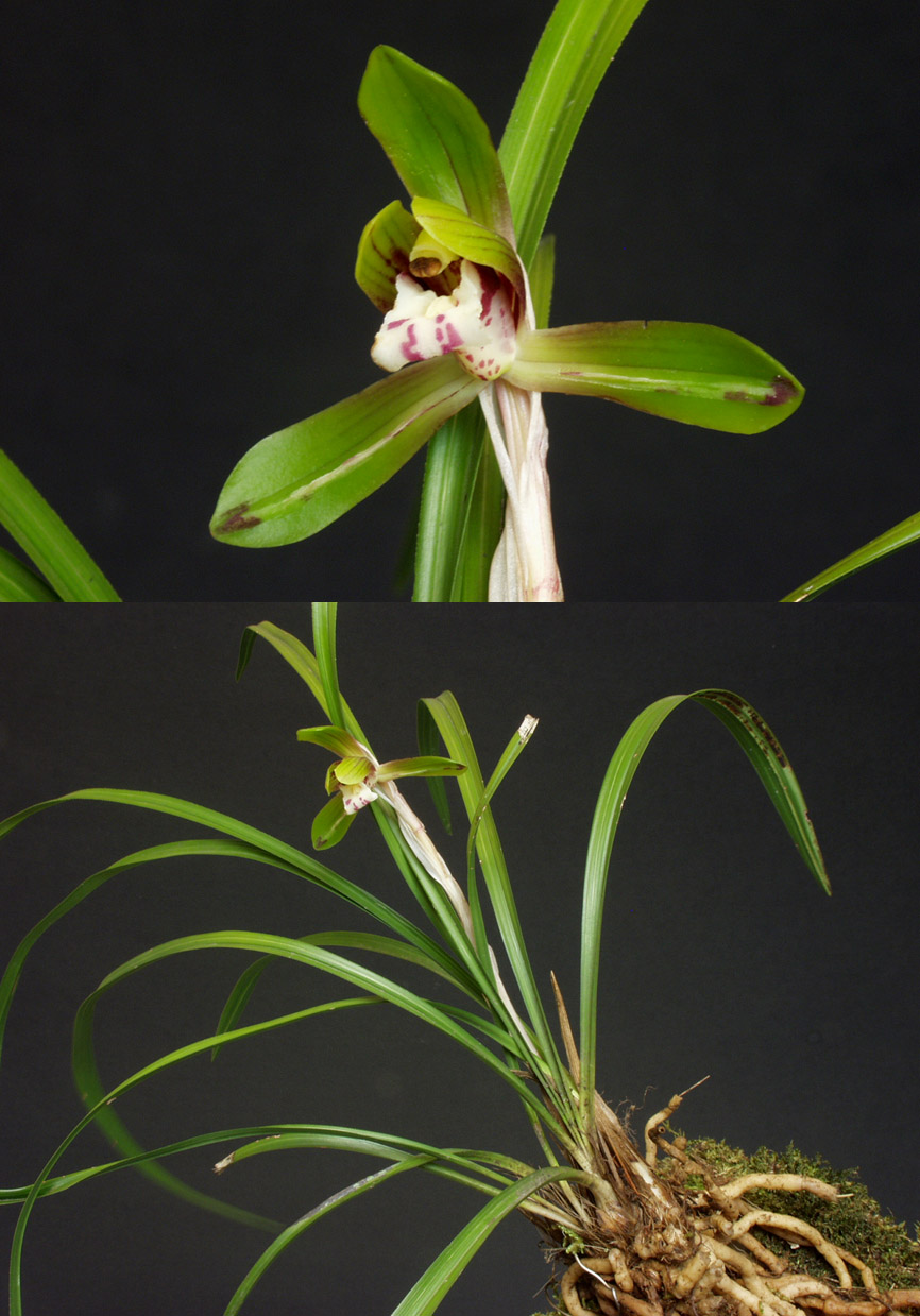 ������ ū������ �� �� �ֽ��ϴ�.