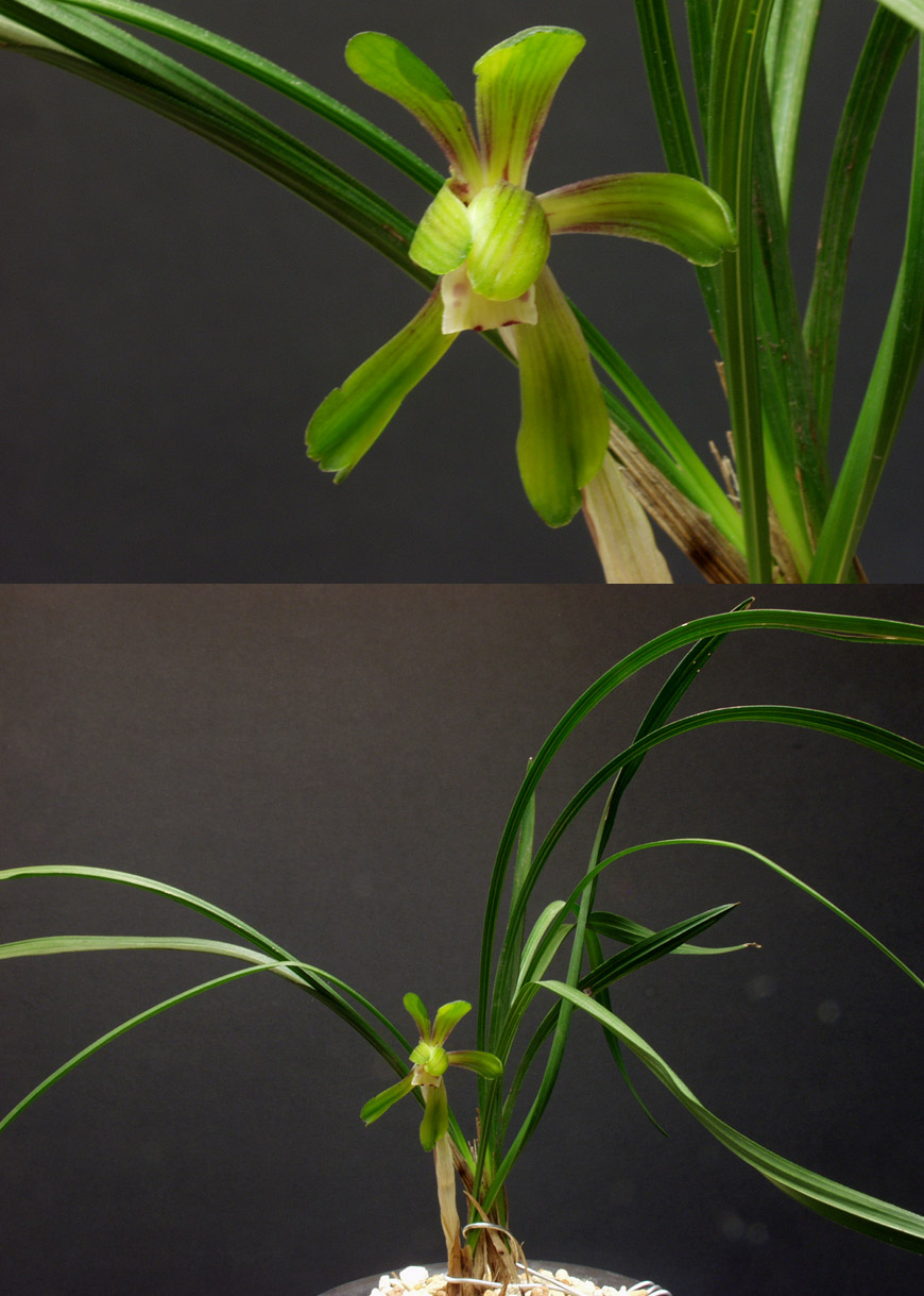 ������ ū������ �� �� �ֽ��ϴ�.