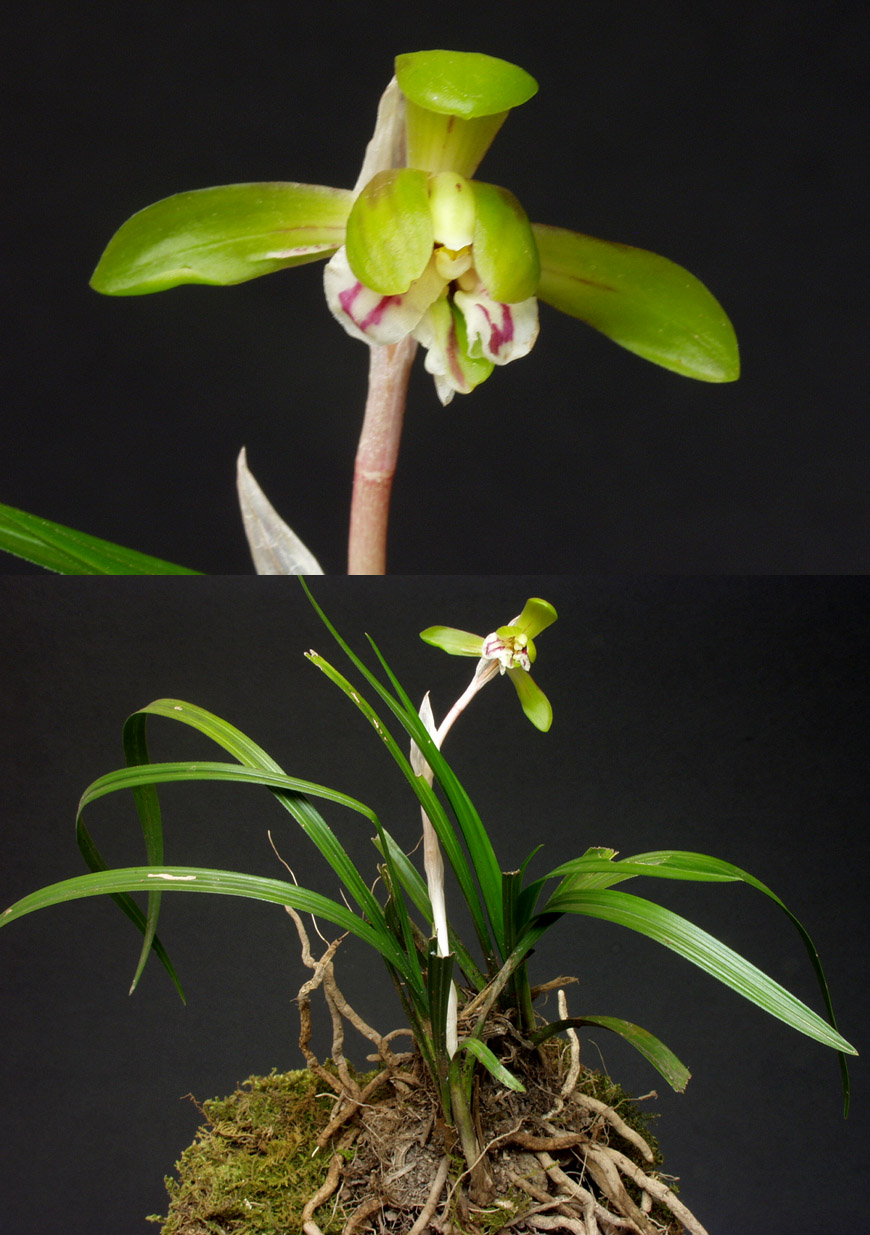 ������ ū������ �� �� �ֽ��ϴ�.