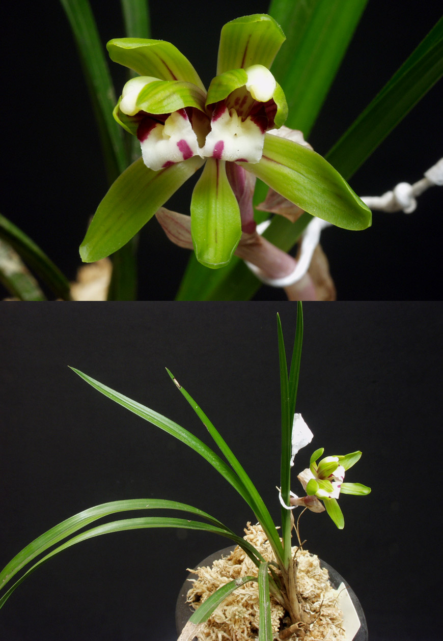 ������ ū������ �� �� �ֽ��ϴ�.