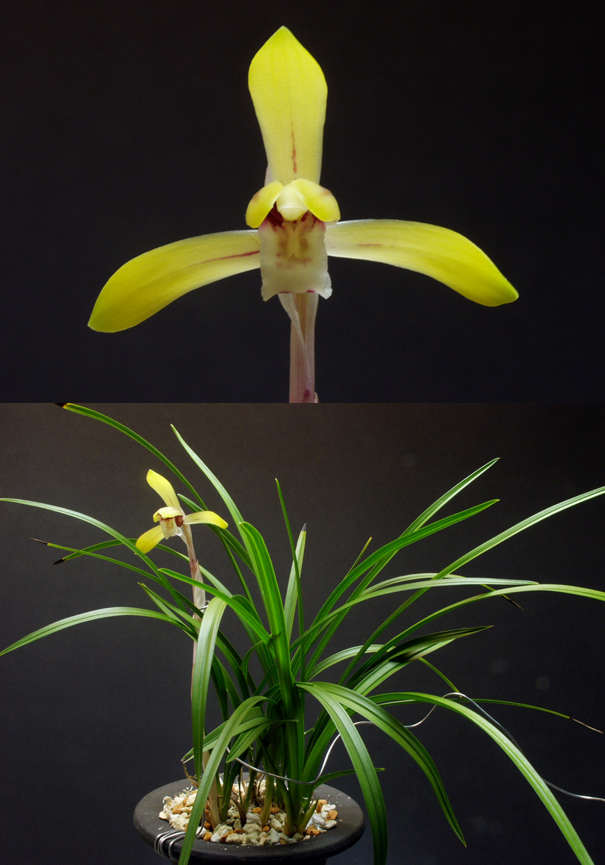 ������ ū������ �� �� �ֽ��ϴ�.