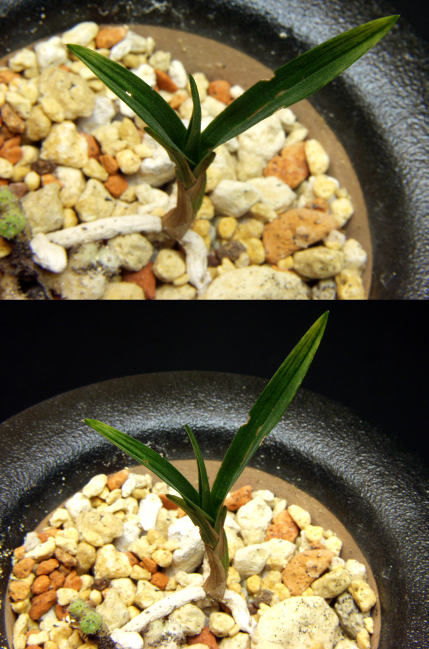 ������ ū������ �� �� �ֽ��ϴ�.