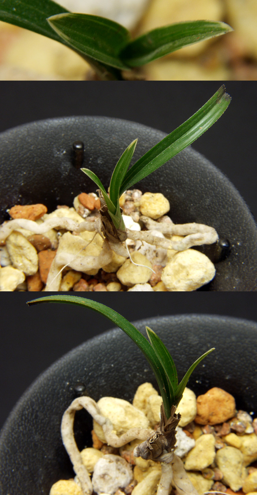 ������ ū������ �� �� �ֽ��ϴ�.