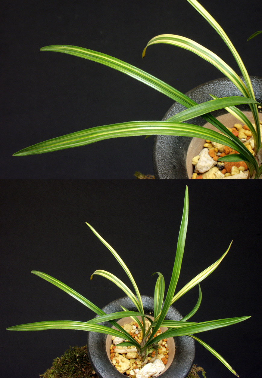 ������ ū������ �� �� �ֽ��ϴ�.