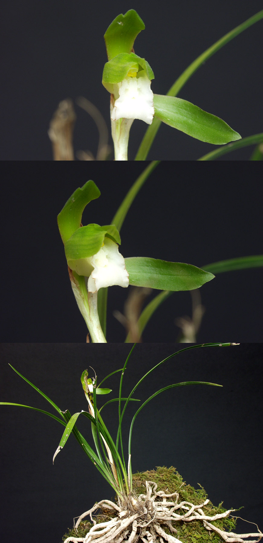 ������ ū������ �� �� �ֽ��ϴ�.